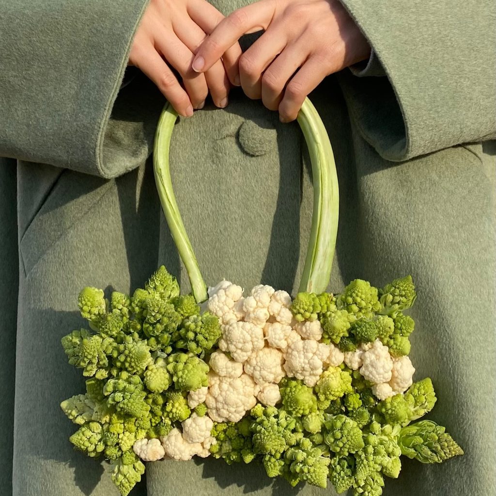 464298980_929951998978002_4266776290425162959_n